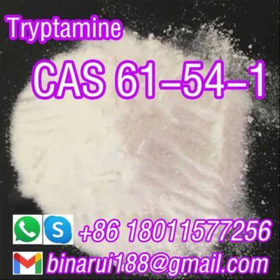 CAS 61-54-1 트립타민 대량